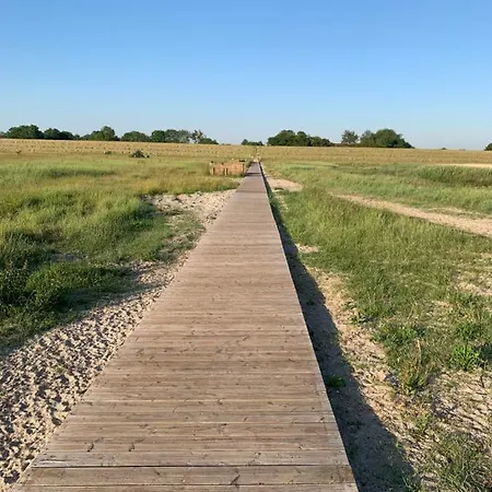 Dom wakacyjny Wattbude Schillig