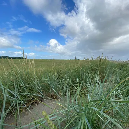 Wattbude Dom wakacyjny *